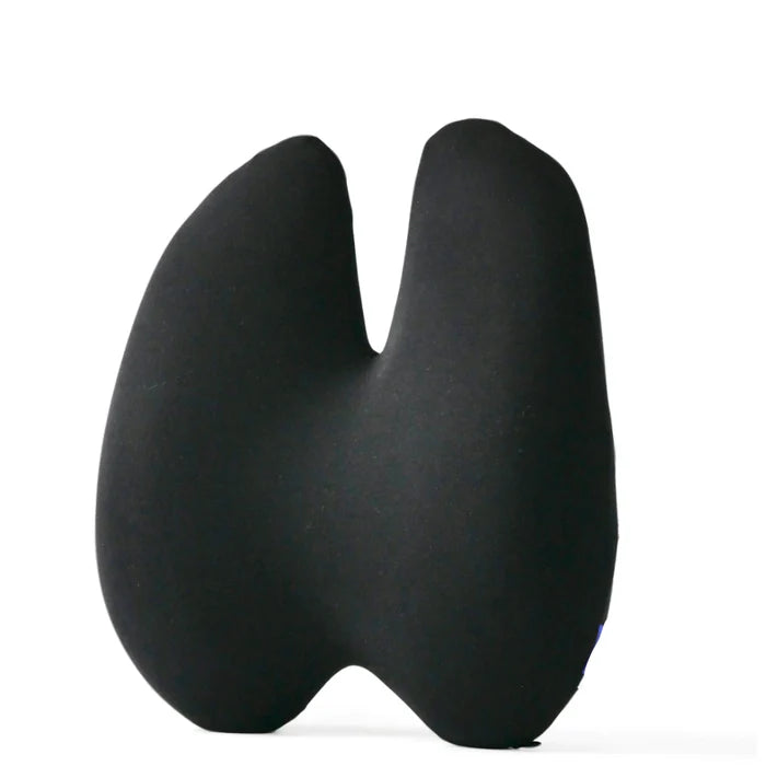 Lumbar Cushion